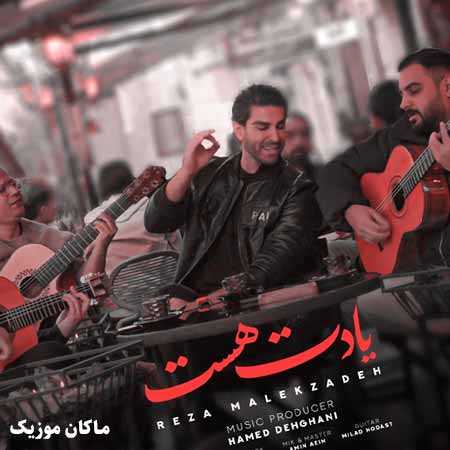 دانلود آهنگ یادت هست آن شب که خزان به جهانم زد از رضا ملک زاده