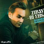 دانلود آهنگ زیبای بی احساس دلم خیلی تنهاست از شهرام شکوهی
