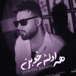 دانلود آهنگ همه اولش خوبن اولش دوست دارن از شاهین بنان دانلود آهنگ همه اولش خوبن اولش دوست دارن از شاهین بنان